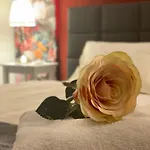 Der Tanzhase Hotel 3*