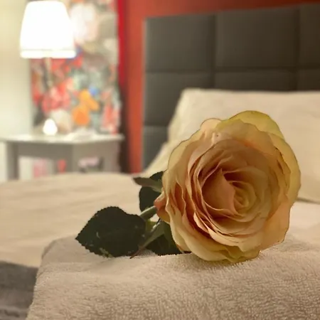 Der Tanzhase Hotel 3*